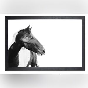 Custom horse print - framed